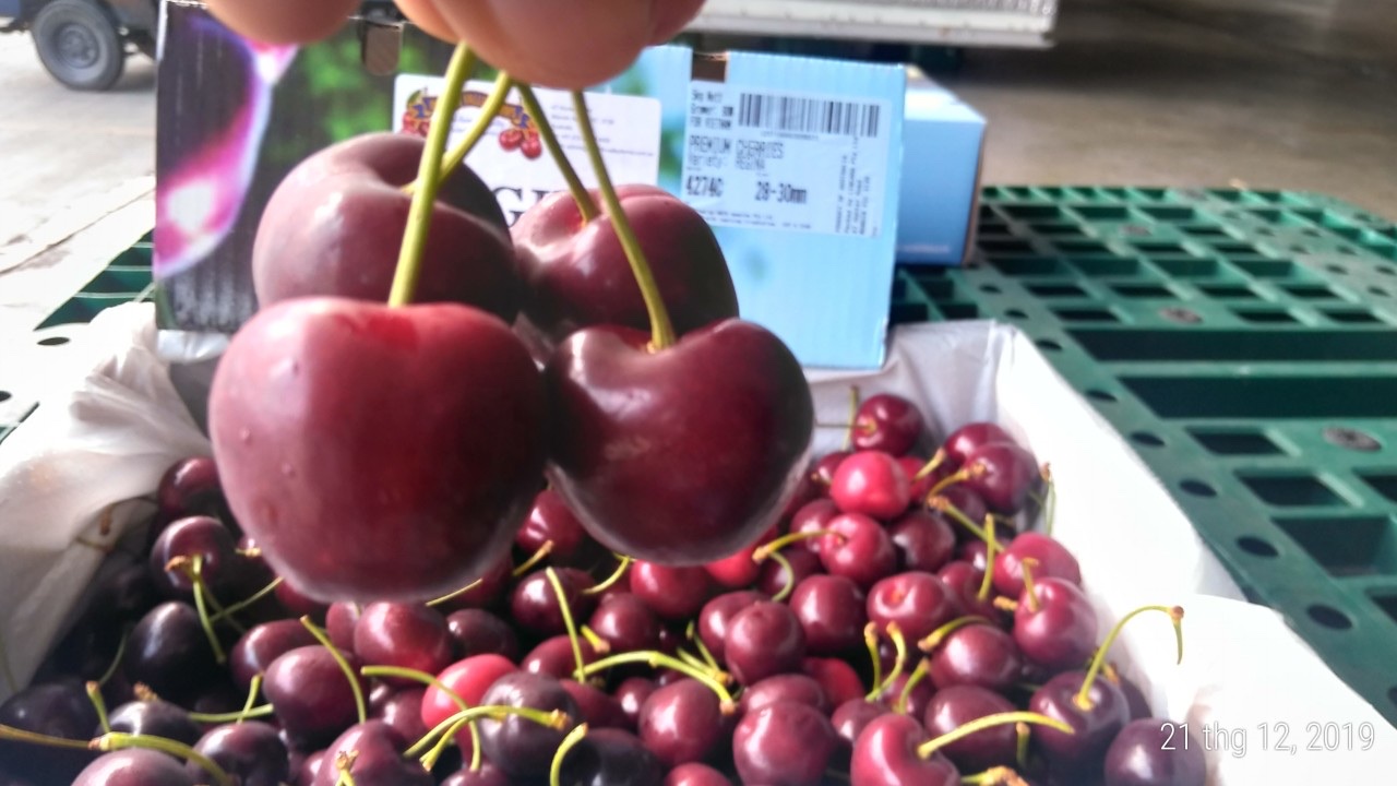 thủ tục nhập khẩu cherry, trái cây